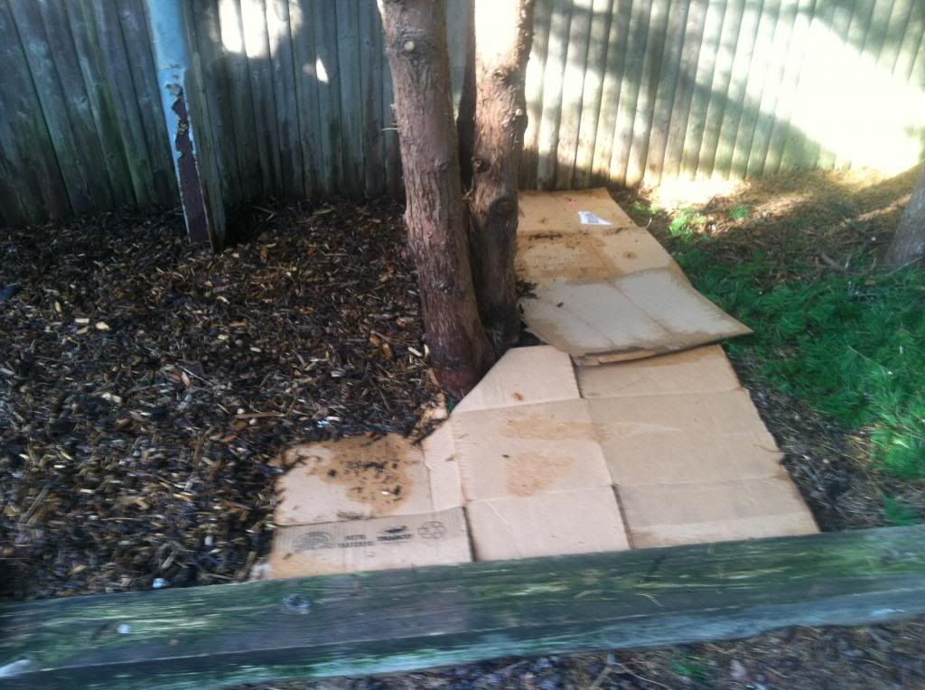  photo IMG_0324_zps354de09a.jpg